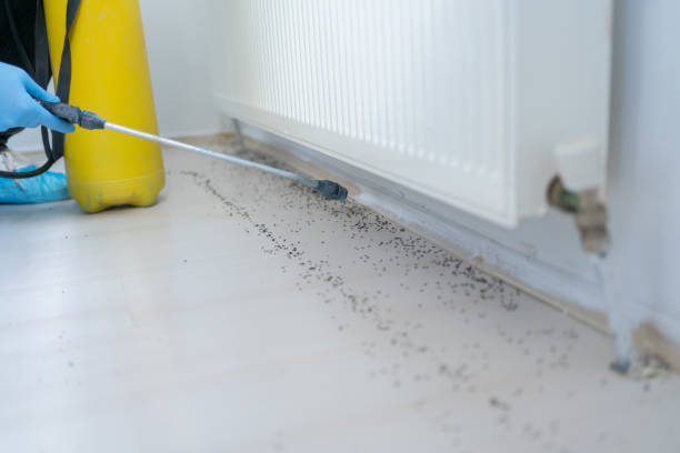 Best Mosquito Control Services  in Kenmar, PA